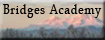 Bridges Academy