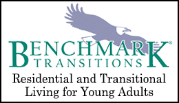 Benchmark Transitions Employment